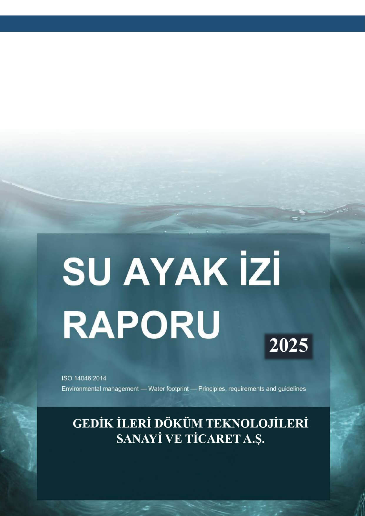 Water Footprint Report