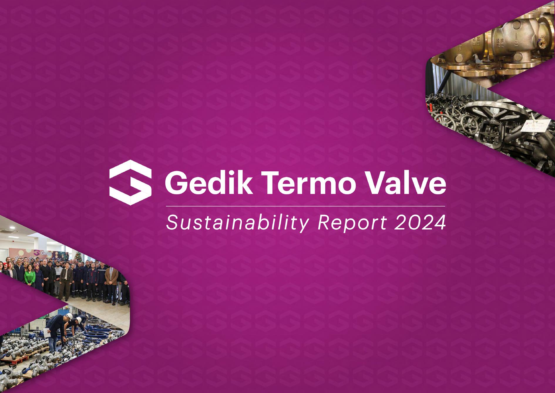 Sustainability Reports 2024
